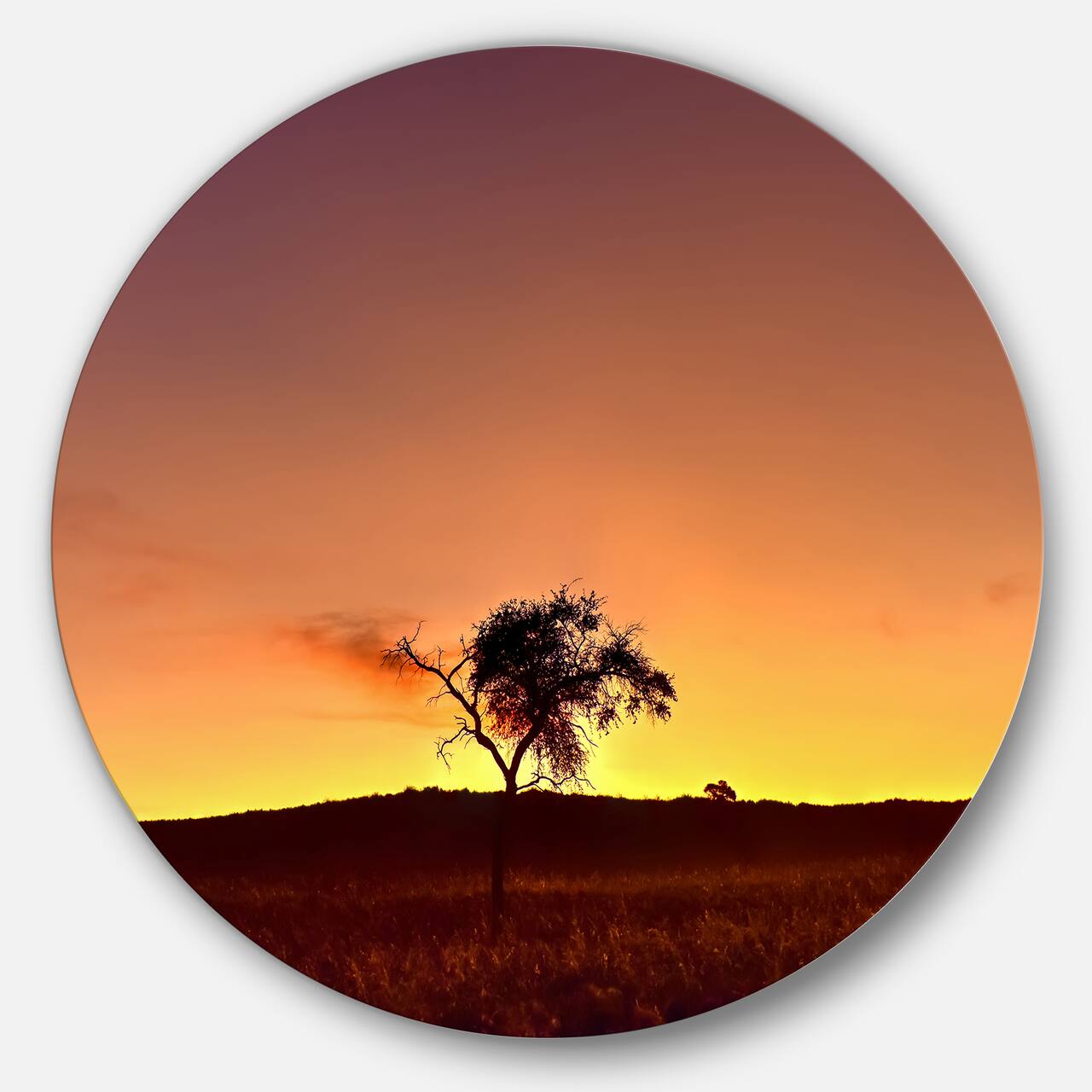 Designart - Solitary Tree in Namib Desert' African Landscape Metal Circle Wall Art